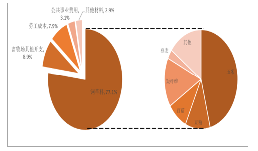 揭示5G技术在网络层面上的实现与未来发展趋势  第7张