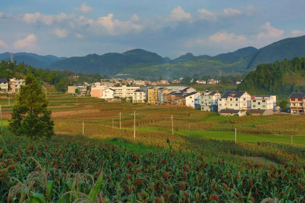 5G 网络融入贵州乡镇，掀起生活革新之风，助力乡村振兴  第6张