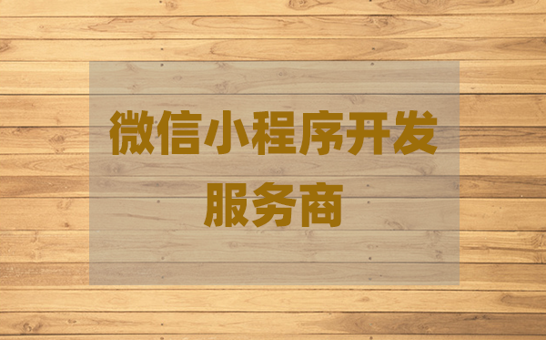 安卓系统小程序：便捷实用，满足多样需求  第2张