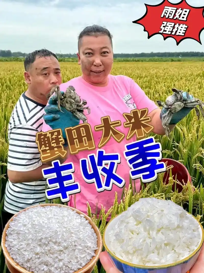 惊！大米价格相差数十倍，真相竟是这3个区别？  第11张