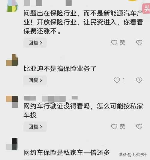 新能源车主的痛：保费高昂还屡遭拒保，背后真相令人  第11张