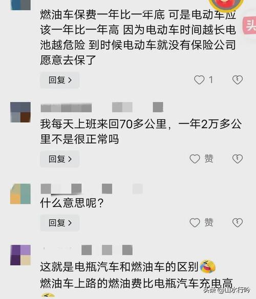 新能源车主的痛：保费高昂还屡遭拒保，背后真相令人  第5张