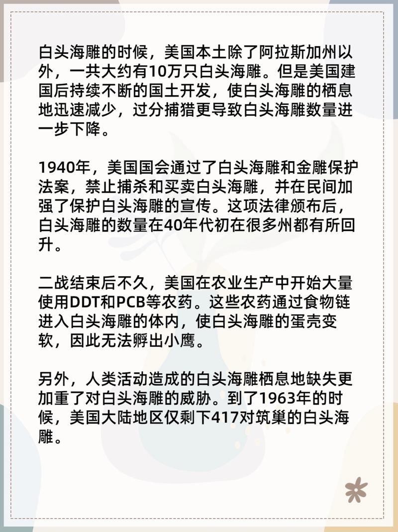 美国国鸟竟不是白头鹰？240年谜团终揭晓，拜登签署法案确认真相  第9张