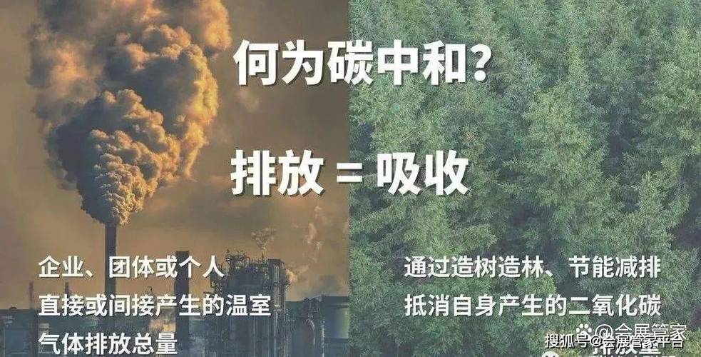 全球最大甲酸钙生产装置投产，钢厂尾气变废为宝，助力双碳目标实现  第4张