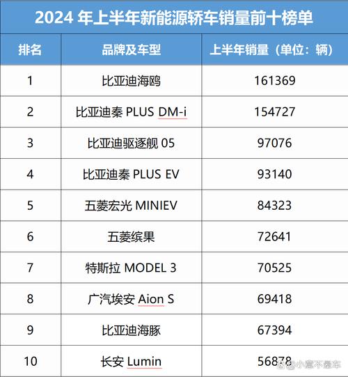 2024新能源汽车市场大洗牌：比亚迪领跑，BBA销量腰斩，谁将成为下一个赢家？  第12张