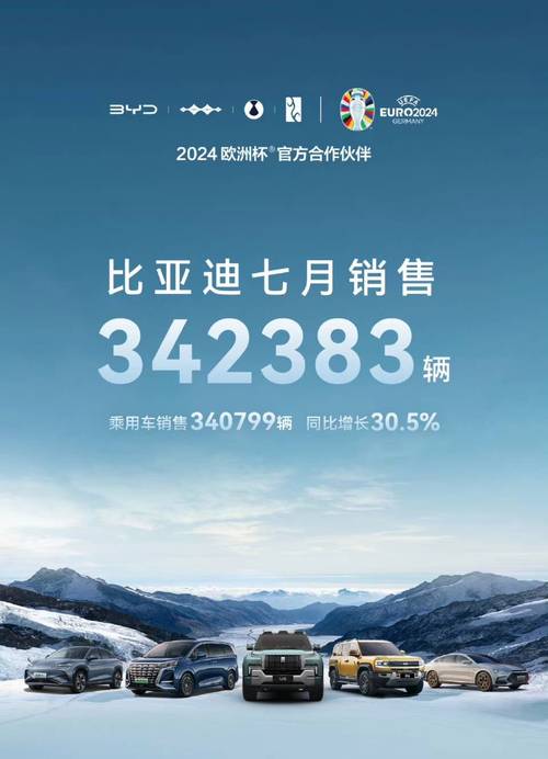 2024新能源汽车市场大洗牌：比亚迪领跑，BBA销量腰斩，谁将成为下一个赢家？  第16张