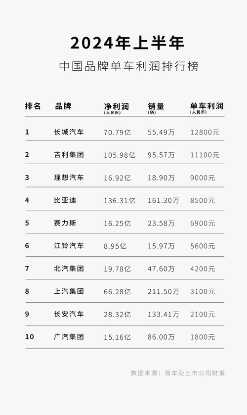 2024新能源汽车市场大洗牌：比亚迪领跑，BBA销量腰斩，谁将成为下一个赢家？  第6张