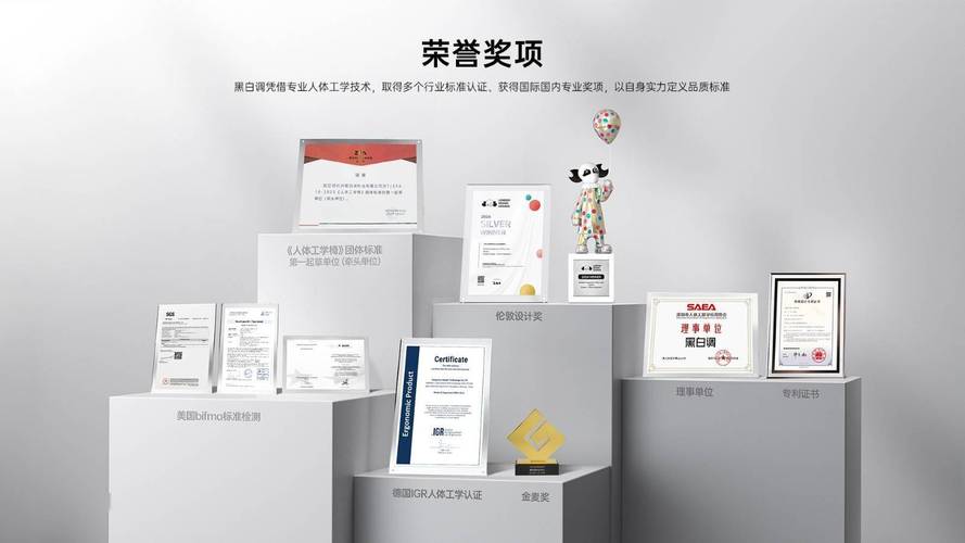 黑白调双喜临门：荣获年度消费领航品牌与成长型品牌，引领人体工学椅行业新潮流  第6张