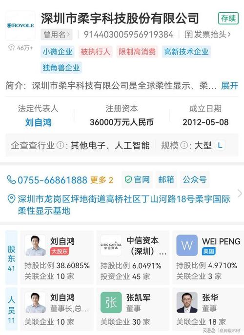 柔宇显示资产二拍再流拍，起拍价降至9.8亿，未来或进一步降价，每月维护费用高达500万元  第7张