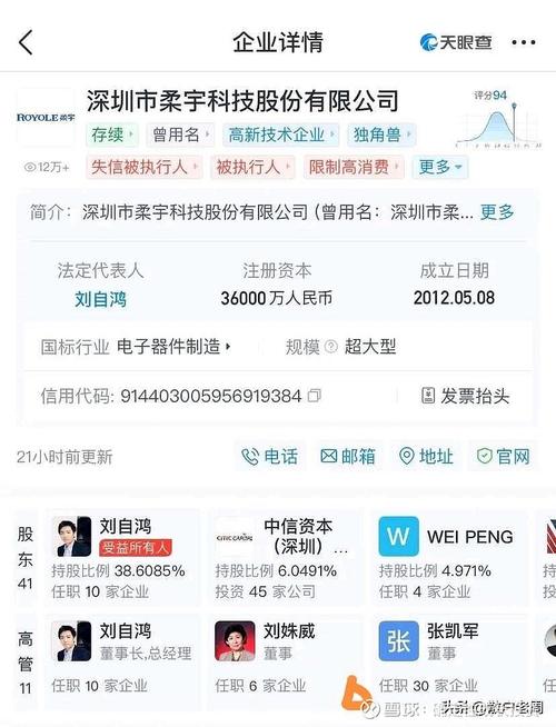 柔宇显示资产二拍再流拍，起拍价降至9.8亿，未来或进一步降价，每月维护费用高达500万元  第8张