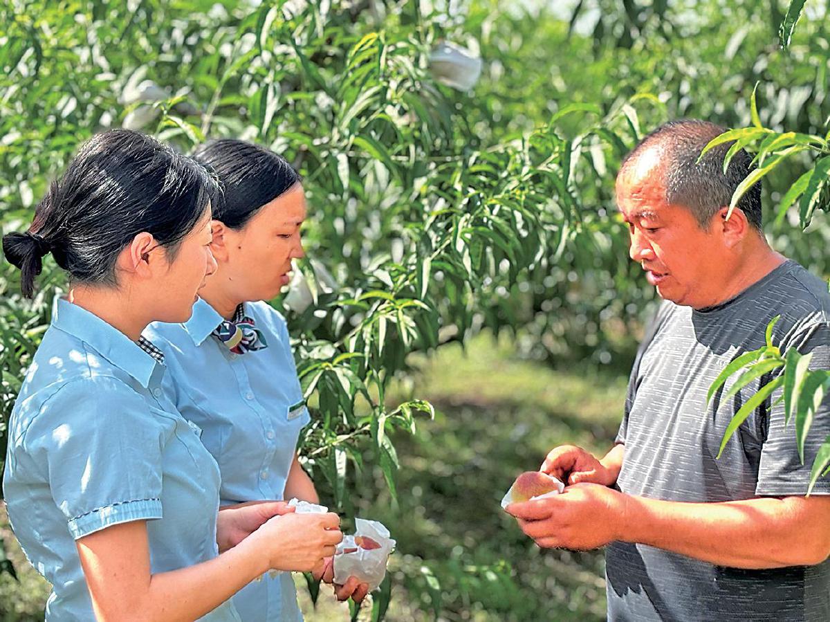 安卓系统：爱与恨的交织，碎片化与困扰的困境如何解决？  第6张