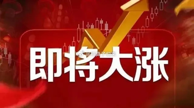 脉搏音箱：音乐随脉搏律动，智能互动新体验  第3张