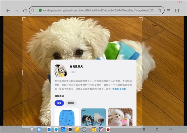 OPPO Pad3震撼发布：2.8K原彩仿书柔光屏，颠覆你的读写体验  第10张