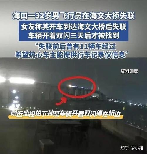 惊险瞬间！阿塞拜疆客机与鸟群相撞，29人奇迹生还，38人不幸遇难，飞行数据记录仪已找到，真相即将揭晓