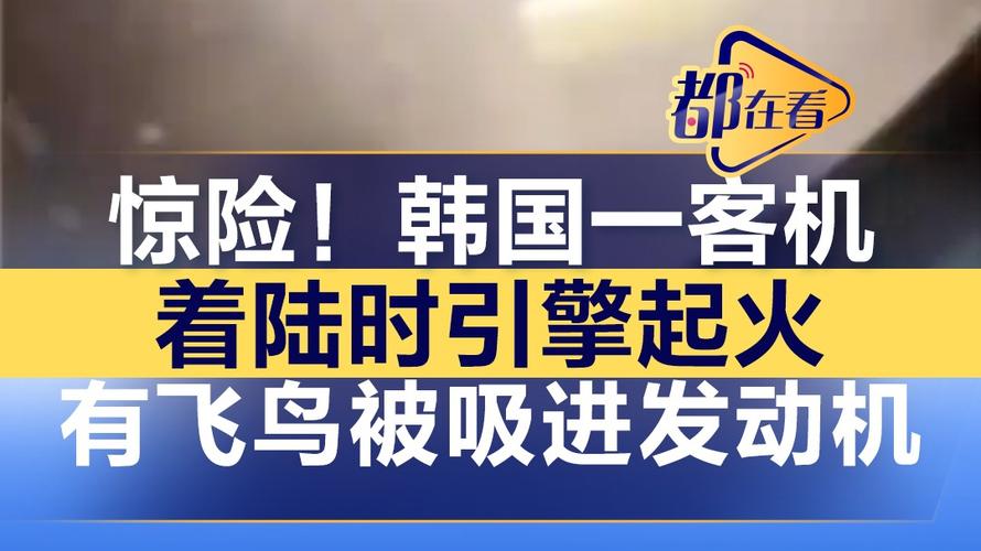 惊险瞬间！阿塞拜疆客机与鸟群相撞，29人奇迹生还，38人不幸遇难，飞行数据记录仪已找到，真相即将揭晓  第9张