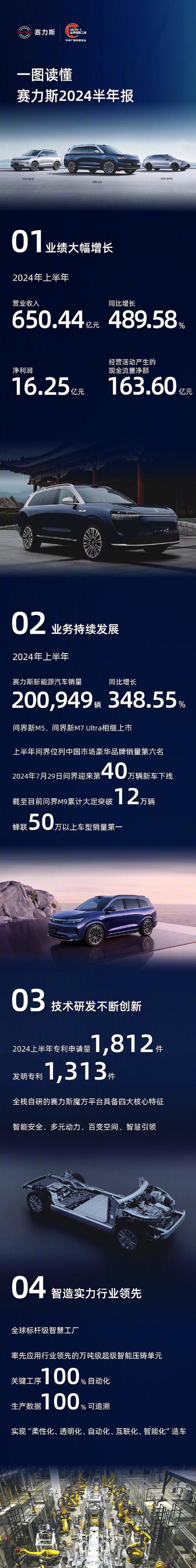 赛力斯逆势崛起：2024年新能源汽车市场的最大赢家，毛利率超25%领跑行业  第2张