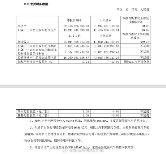 赛力斯逆势崛起：2024年新能源汽车市场的最大赢家，毛利率超25%领跑行业  第11张