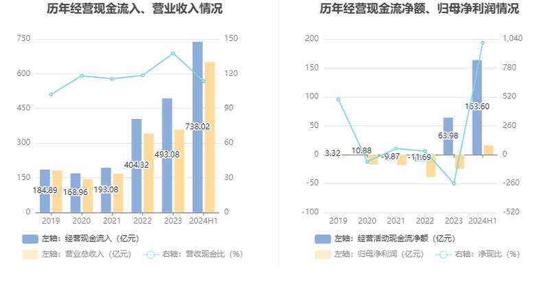 赛力斯逆势崛起：2024年新能源汽车市场的最大赢家，毛利率超25%领跑行业  第13张