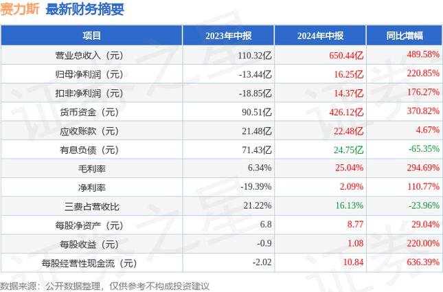 赛力斯逆势崛起：2024年新能源汽车市场的最大赢家，毛利率超25%领跑行业  第15张