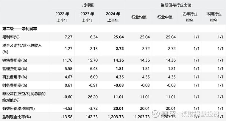 赛力斯逆势崛起：2024年新能源汽车市场的最大赢家，毛利率超25%领跑行业  第4张