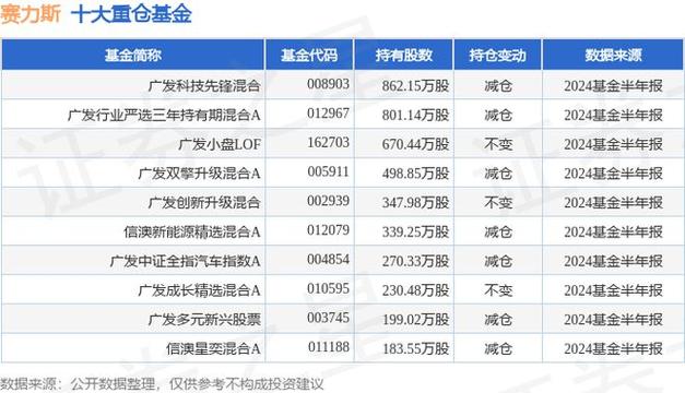 赛力斯逆势崛起：2024年新能源汽车市场的最大赢家，毛利率超25%领跑行业  第8张