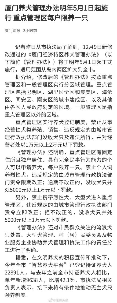 明年3月起，首尔投喂鸽子将面临重罚！最高罚款100万韩元，你准备好了吗？  第3张