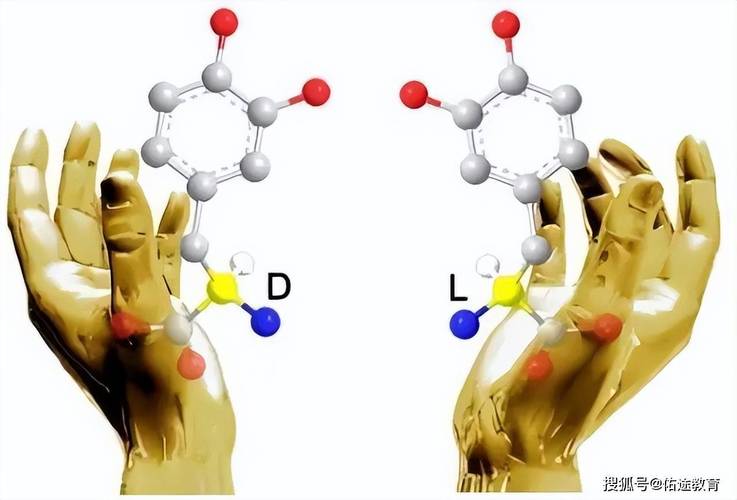 揭秘镜像生命的潜在危险：为什么手性差异可能颠覆我们的免疫系统？