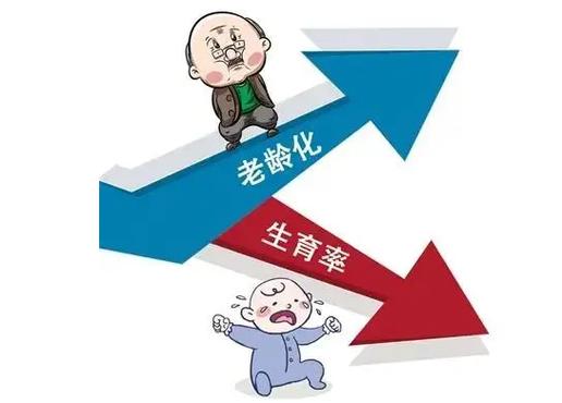 全球生育率危机：马斯克揭示日本每年减少100万人，美国出生率创历史新低  第11张