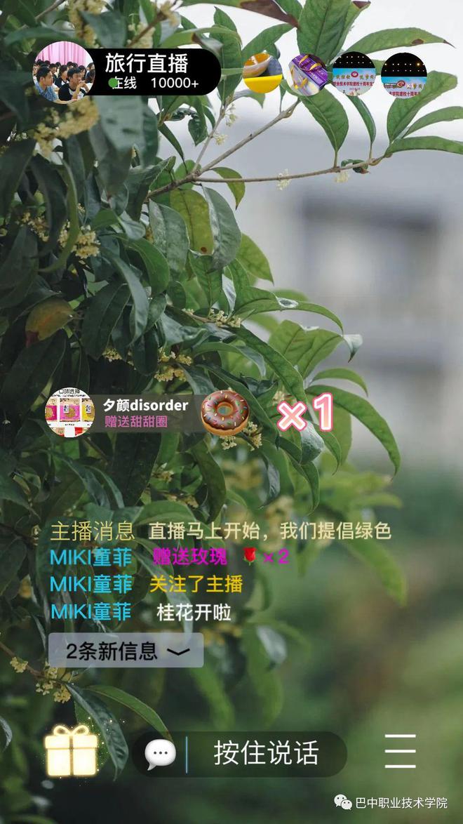 叮咚音箱+网易云音乐：打造私人音乐盛宴  第4张