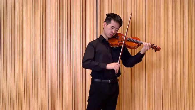 小提琴乐章与音响接驳：如何选择适合的音箱，提升演奏音质  第2张