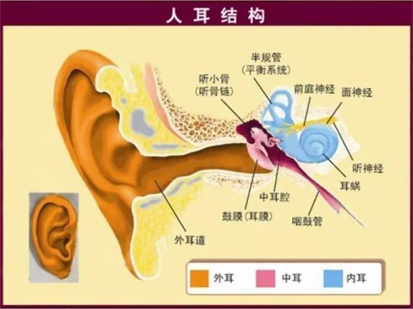 音箱噪音严重干扰生活，探寻噪音来源成难题  第7张