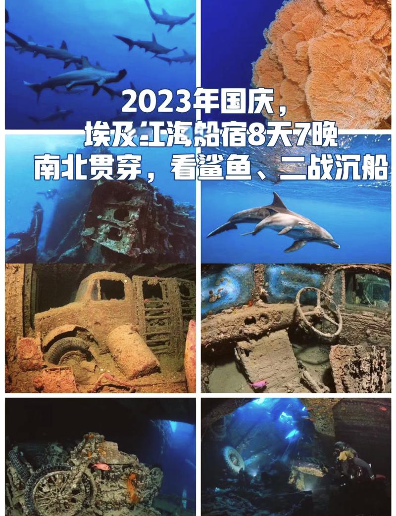 红海沉船事故揭秘：高盐度真的能提高幸存率吗？  第4张