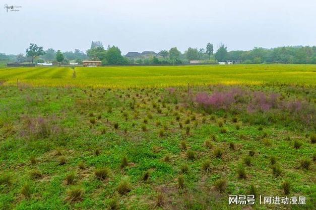 00后女硕士怒怼网红羊毛月：寒窗苦读十几年，工资竟不如一条广告？  第10张