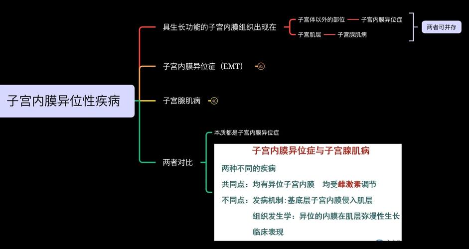 揭秘子宫内膜异位症：痛经背后的隐秘杀手，你真的了解吗？  第8张