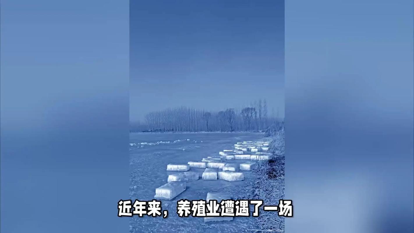 寒冬来袭，为何暖食外卖和冰雪游市场却逆势升温？揭秘即时配送背后的秘密