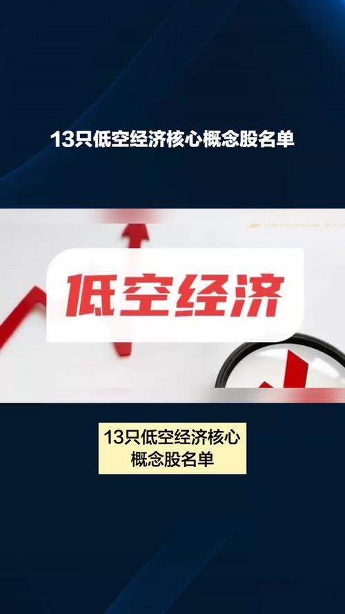 破产两月后奇迹重生！曾经的空中特斯拉如何在全球低空经济浪潮中逆袭？  第9张