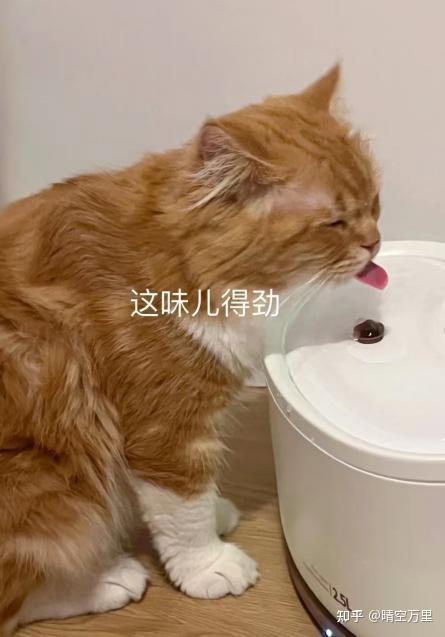 解密TP钱包：如何轻松取消多签保护  第4张