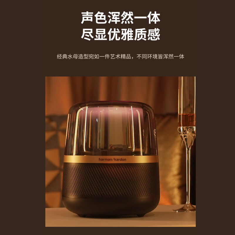 nux小天使音箱：音质便捷双赢？神奇外观揭秘，声音惊艳无比  第4张