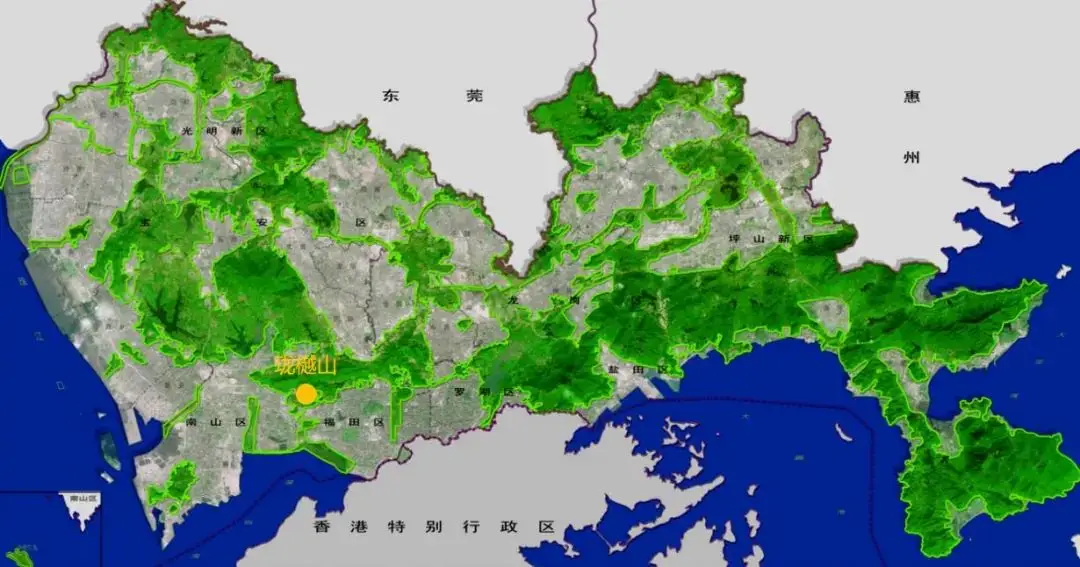 大松5G手机震撼测评：外观惊艳，性能超群，拍照更上一层楼  第1张