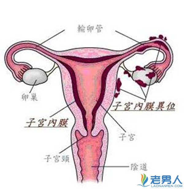 深度解析安卓音量调节：技巧、问题与奥秘全揭秘  第7张