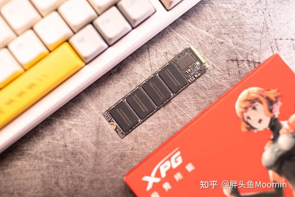 DDR3 与 DDR5 对比：稳定性卓越的 内存条，性价比之选  第6张