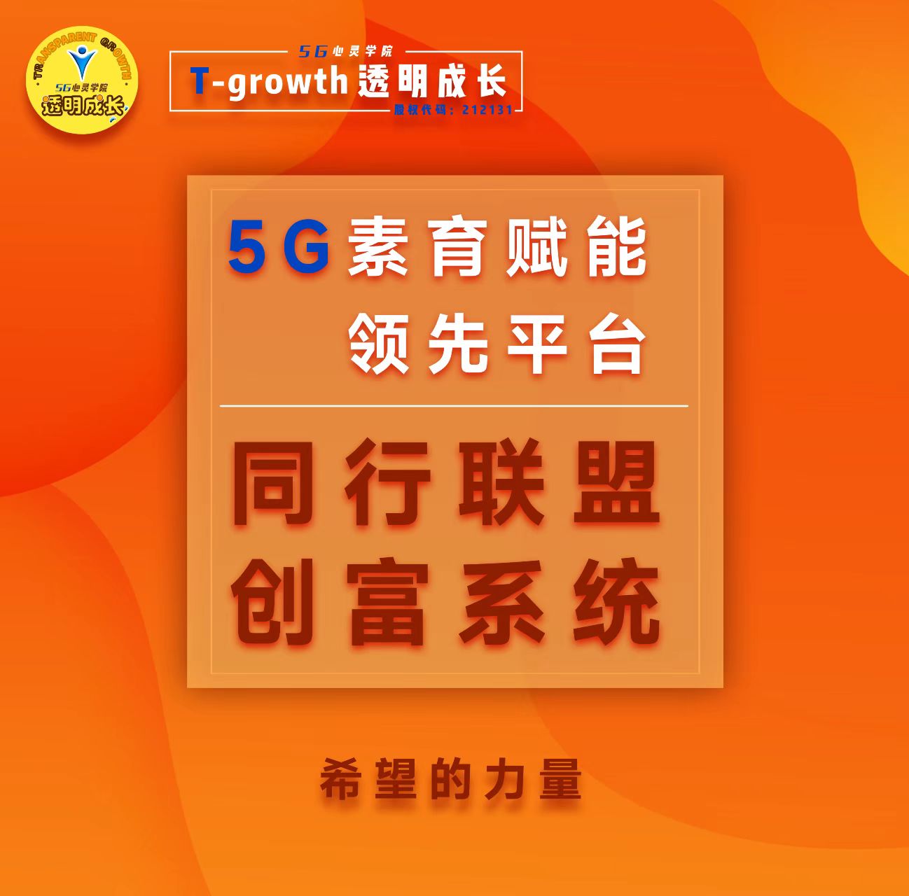 荣耀手机 5G 设置指南：提升上网体验，尽享高速优势