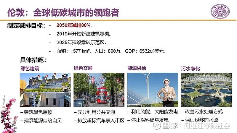 电动车VS燃油车：碳排放低20%！仇保兴揭秘城市碳中和新路径  第8张