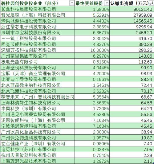 碧桂园20亿出售长鑫科技股权，国产DRAM芯片巨头未来何去何从？