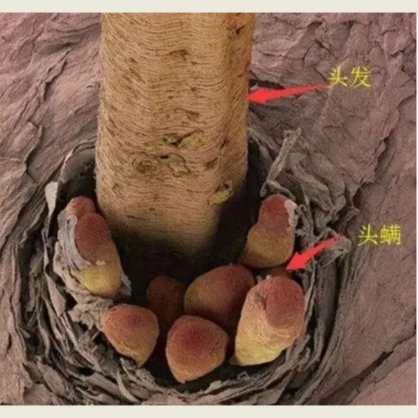 全球安卓手机陷入崩溃！关机成谜，专家解密原因惊人  第2张