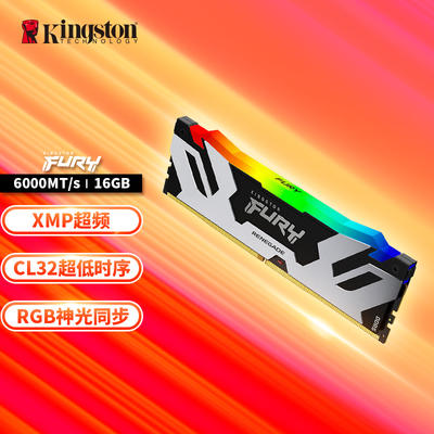 金士顿DDR2 667 1G内存：性能独步市场，2GB容量震撼专业玩家  第4张