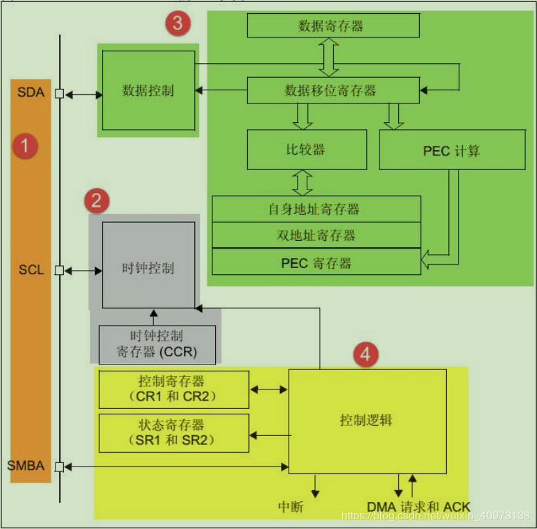 5G手机接入4G网络，速度瓶颈？解密消费者困扰  第2张