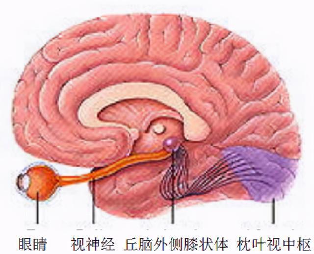 DDR内存：引脚究竟有何神奇？揭秘数据传输速度两倍的秘密  第8张