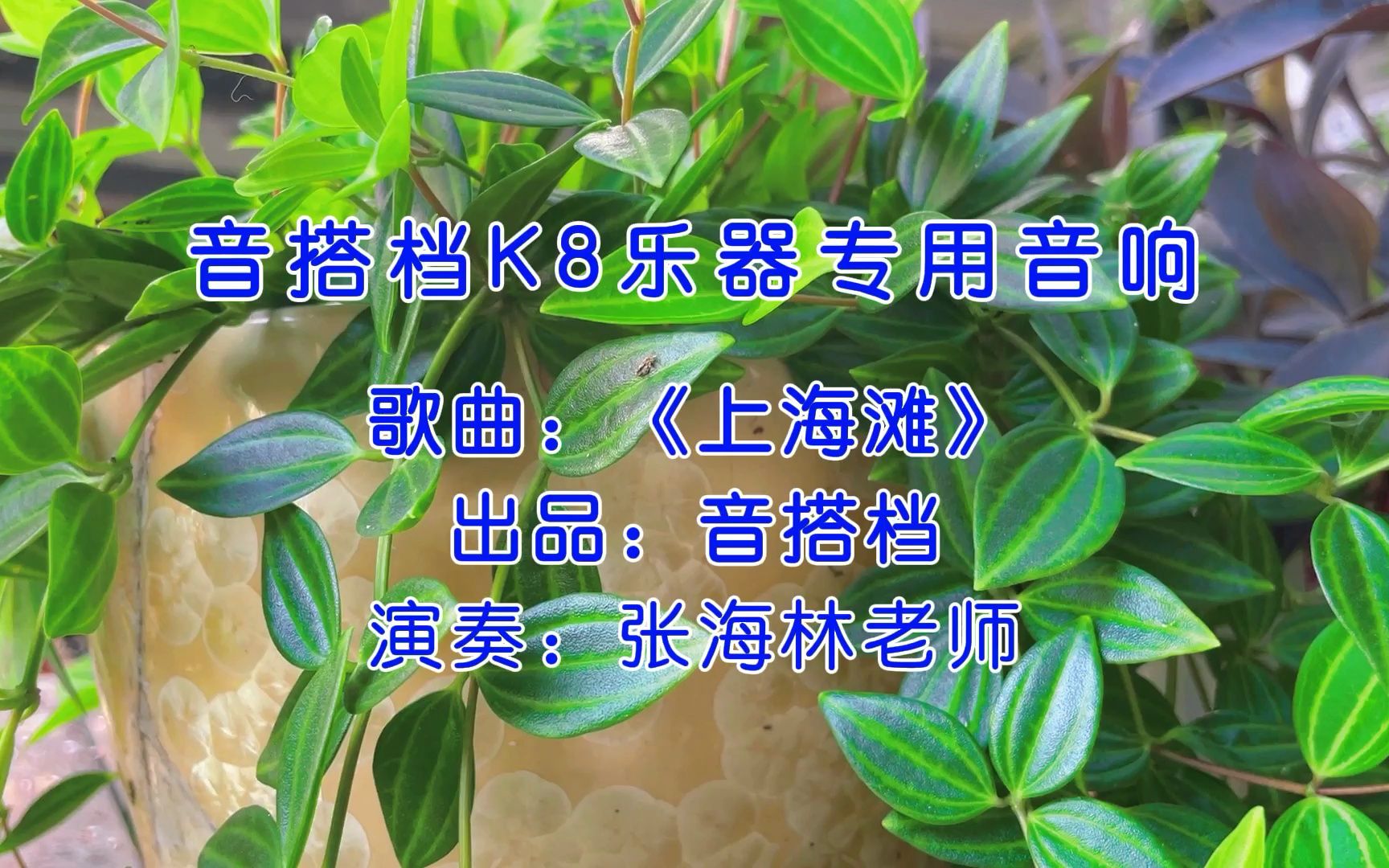 音响发烧友必看！爆款连线技巧揭秘，让爱浪音箱焕发最佳音效  第5张