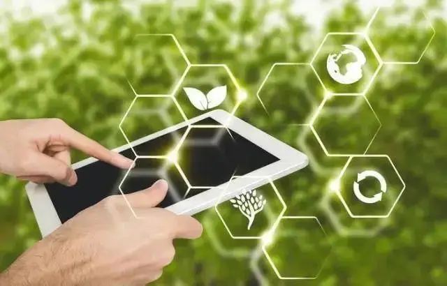 海南5G网络助力餐饮业数字化转型与发展：技术革新与消费体验探析